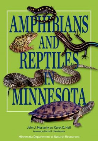 Książka Amphibians and Reptiles in Minnesota John J. Moriarty