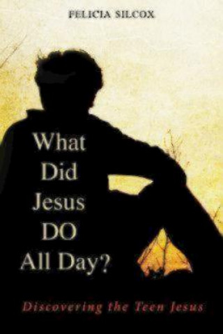 Könyv What Did Jesus DO All Day? Felicia Silcox