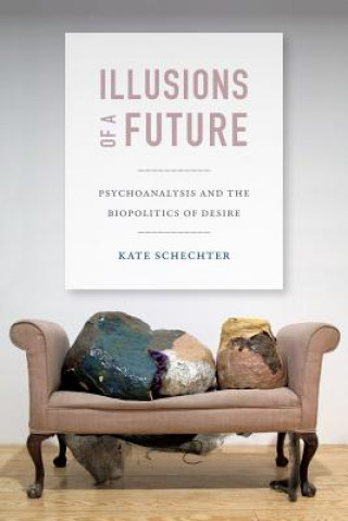 Könyv Illusions of a Future Kate Schechter