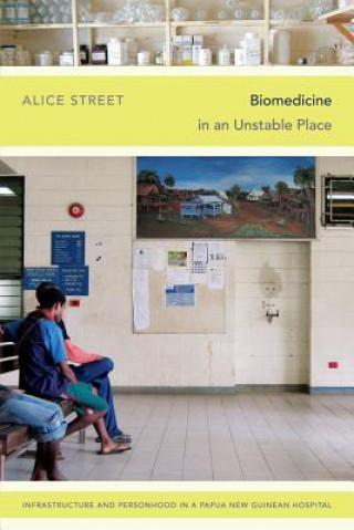 Könyv Biomedicine in an Unstable Place Alice Street