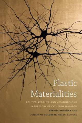 Buch Plastic Materialities 