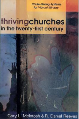 Kniha Thriving Churches in the Twenty-First Century R Daniel Reeves