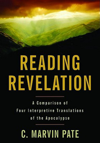 Boek Reading Revelation C Marvin Pate