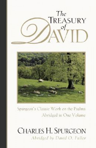 Livre Treasury of David Charles Spurgeon