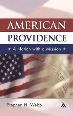 Kniha American Providence Stephen H. Webb