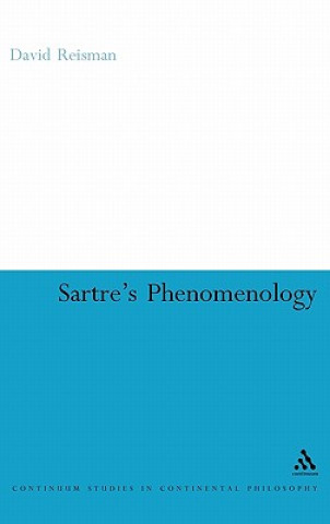 Kniha Sartre's Phenomenology David Reisman