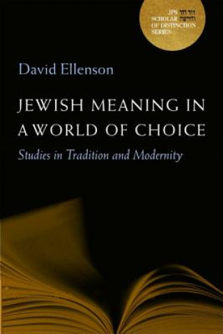 Kniha Jewish Meaning in a World of Choice David Ellenson