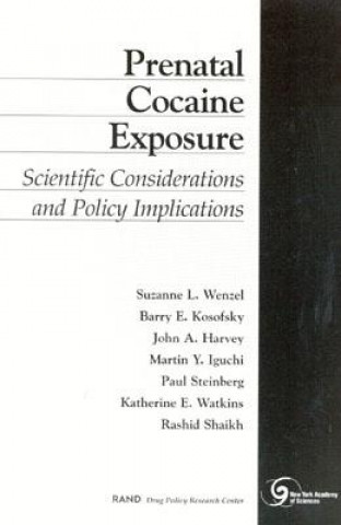 Książka Prenatal Cocaine Exposure Suzanne K. Wenzel