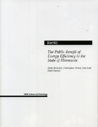 Book Public Benefit of Energy Efficiency for Minnesota Mark Bernstein