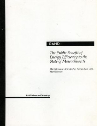 Könyv Public Benefit of Energy Efficiency for Massachusetts Mark Bernstein
