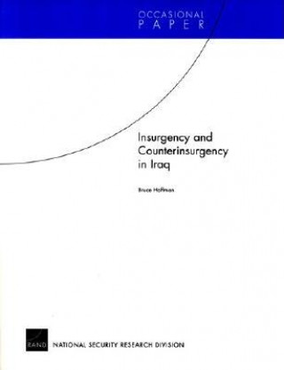 Könyv Insurgency and Counterinsurgency in Iraq Bruce Hoffman