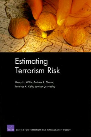 Kniha Estimating Terrorism Risk Henry H. Willis