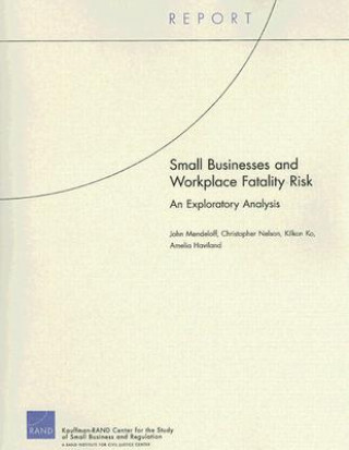 Книга Small Businesses and Workplace Fatality Risk John Mendeloff