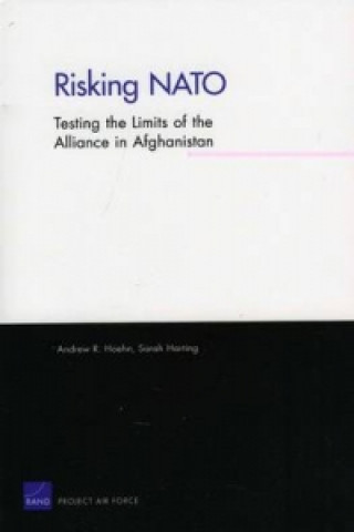 Kniha Risking NATO Andrew R Hoehn
