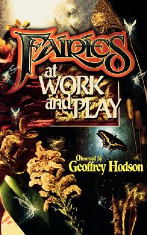 Książka Fairies at Work and Play Geoffrey Hodson