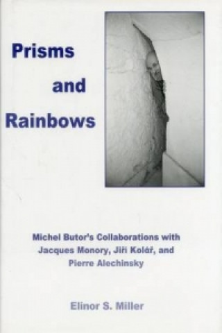 Kniha Prisms And Rainbows Elinor S. Miller