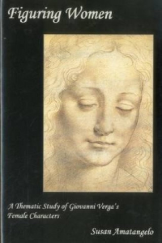Knjiga Figuring Women Susan Amatangelo