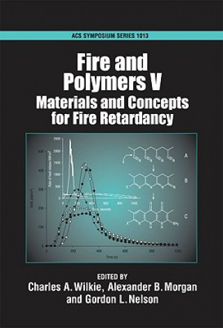 Knjiga Fire and Polymers Charles A. Wilkie