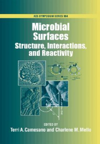 Boek Microbial Surfaces Terri A. Camesano