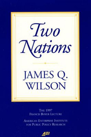 Buch Two Nations James Q. Wilson