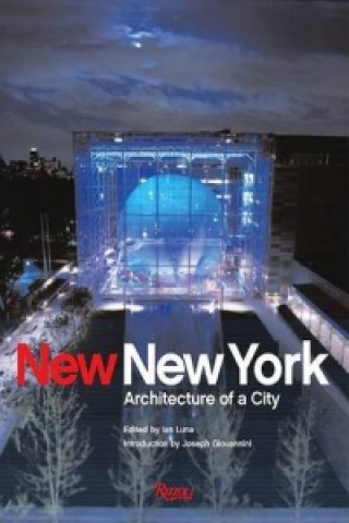 Könyv New New York LUNA