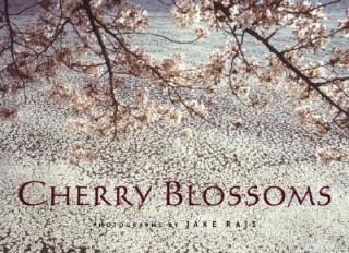 Carte Cherry Blossoms Jake Rajs