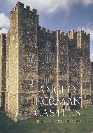 Kniha Anglo-Norman Castles Robert Liddiard