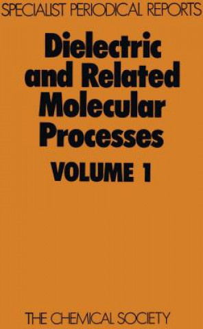 Książka Dielectric and Related Molecular Processes 