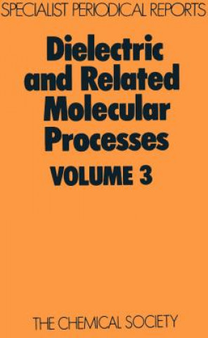 Buch Dielectric and Related Molecular Processes 