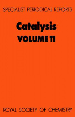 Boek Catalysis James J Spivey