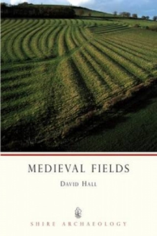 Boek Medieval Fields David Hall
