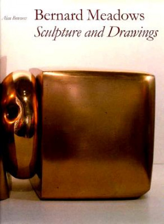 Boek Bernard Meadows Alan Bowness