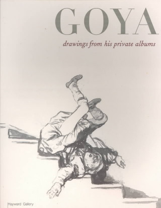 Knjiga Goya Juliet Wilson-Bareau