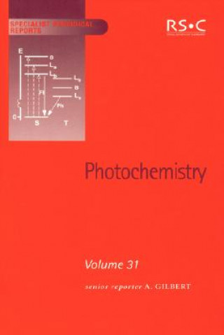 Kniha Photochemistry 