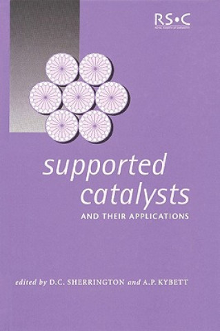 Kniha Supported Catalysts and Their Applications 