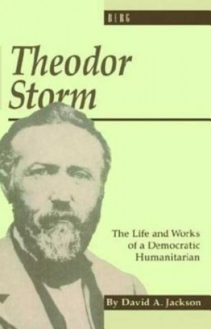 Könyv Theodor Storm David Jackson