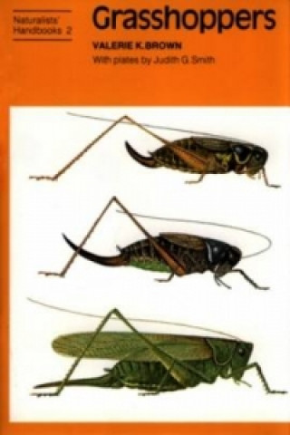 Carte Grasshoppers Valerie K. Brown
