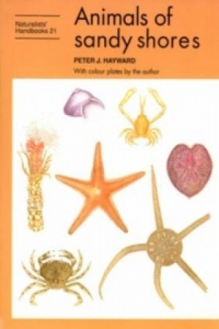 Knjiga Animals of sandy shores Peter J. Hayward