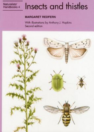 Carte Insects and thistles Margaret Redfern
