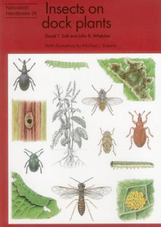 Könyv Insects on dock plants David T. Salt