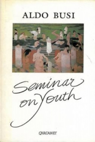 Kniha Seminar on Youth Aldo Busi