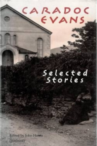 Carte Selected Stories Evans Caradoc