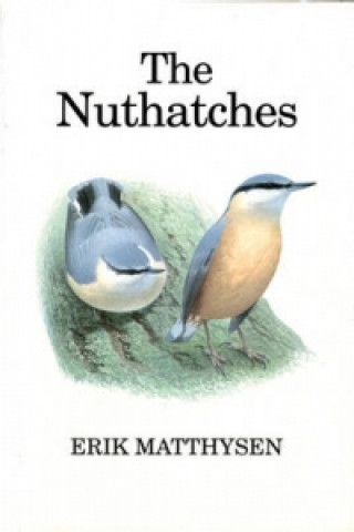 Kniha Nuthatches Erik Matthysen