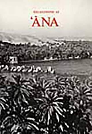 Kniha Excavations at Ana A. Northedge