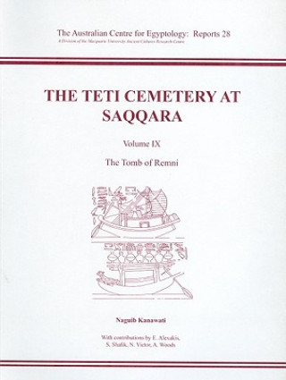 Kniha Teti Cemetery at Saqqara, Vol. 9 Naguib Kanawati