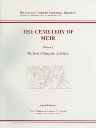 Kniha Cemetery of Meir, Volume I Effy Alexakis