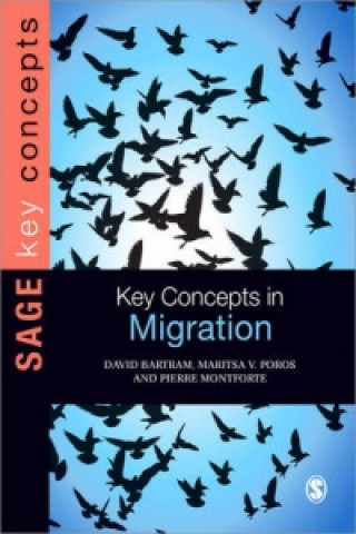 Książka Key Concepts in Migration David Bartram