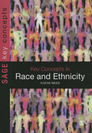 Kniha Key Concepts in Race and Ethnicity Nasar Meer