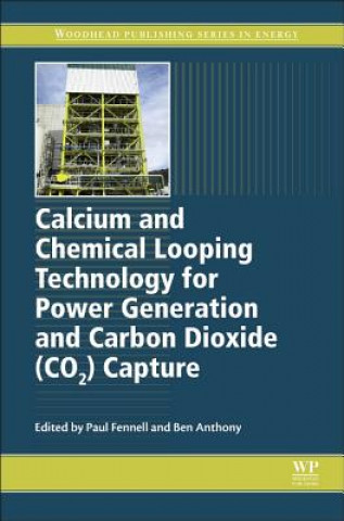 Βιβλίο Calcium and Chemical Looping Technology for Power Generation and Carbon Dioxide (CO2) Capture P. Fennell