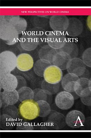 Kniha World Cinema and the Visual Arts David Gallagher